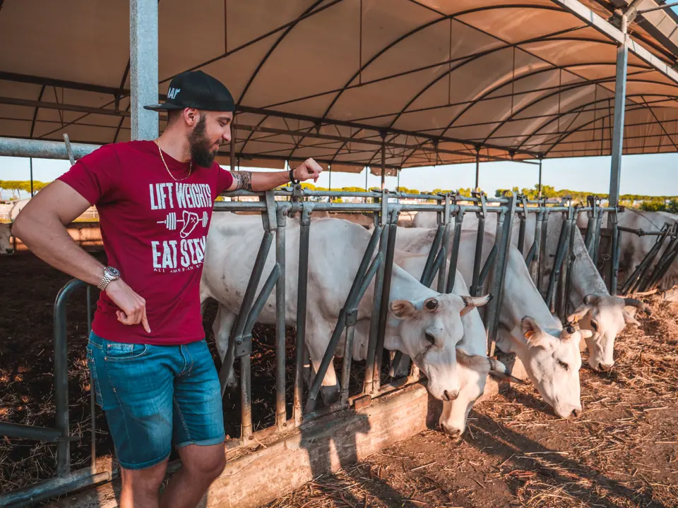 Simone appoggiato alla recinzione di una stalla con le mucche